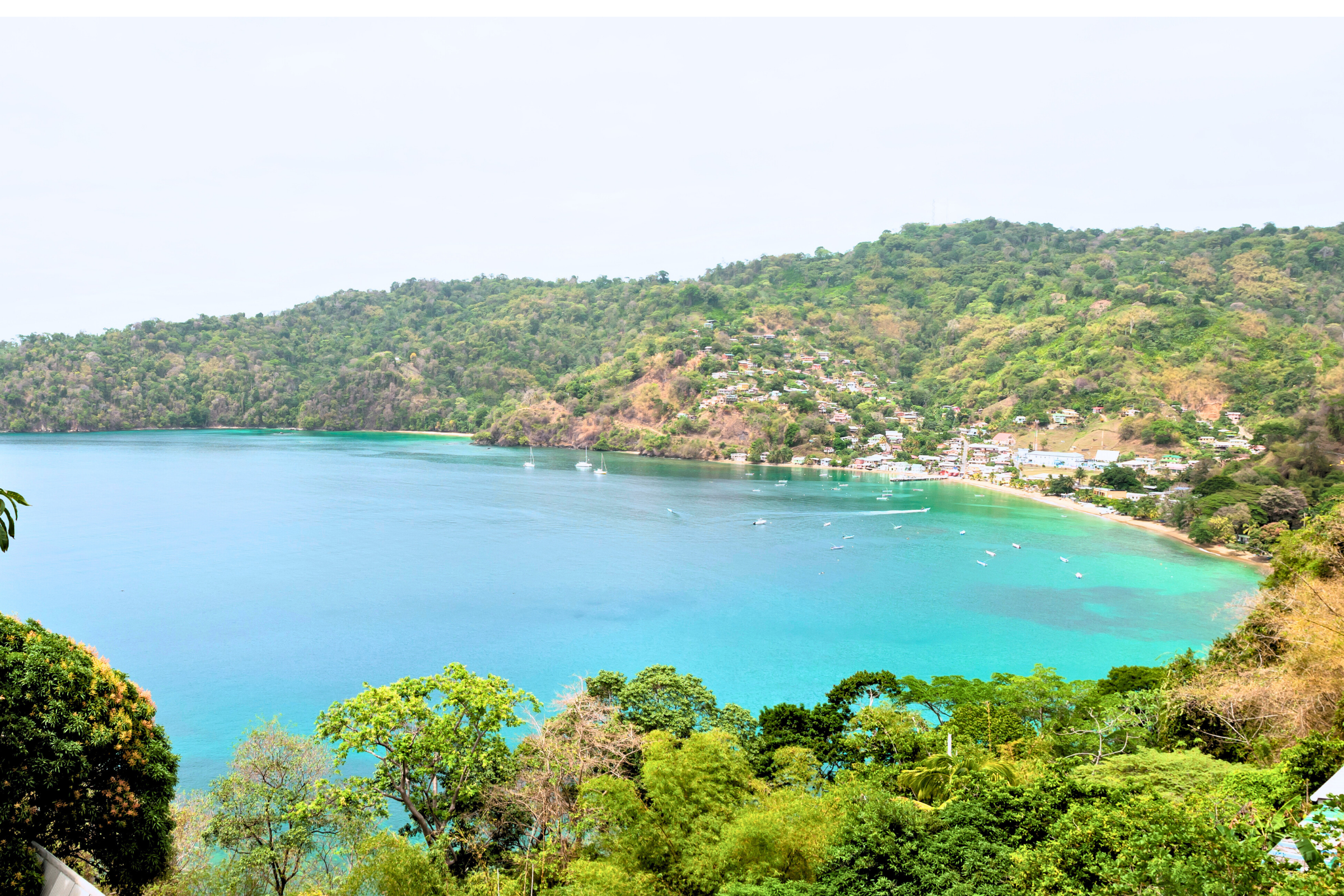 charlotteville 01.webp